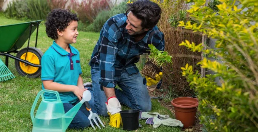Landscaping: The Best Idea You’ve Ever Had - 竞彩网