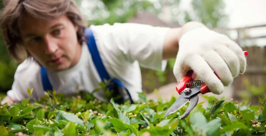 Landscaping: The Best Idea You’ve Ever Had - 竞彩网