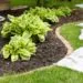 Landscaping: The Best Idea You’ve Ever Had - 竞彩网