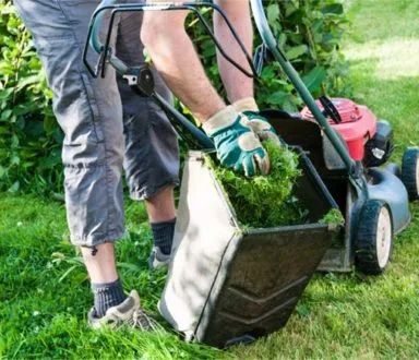 Lawn Mower - 竞彩网