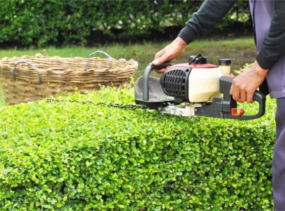 Lawn Mower - 竞彩网
