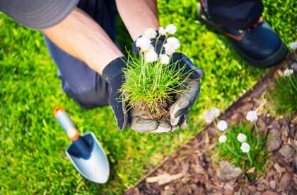 Key Benefits of Service - 竞彩网