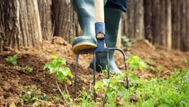 Spring & Fall Cleanup - 竞彩网